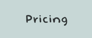 pricing pricing